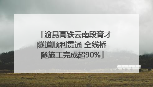 渝昆高铁云南段育才隧道顺利贯通 全线桥隧施工完成超90%