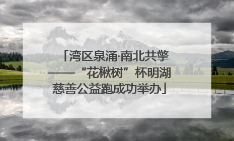 湾区泉涌·南北共擎——“花楸树”杯明湖慈善公益跑成功举办