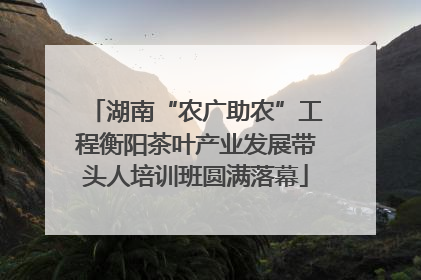 湖南“农广助农”工程衡阳茶叶产业发展带头人培训班圆满落幕