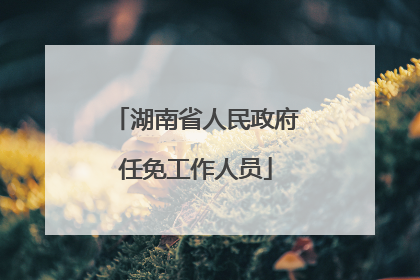 湖南省人民政府任免工作人员