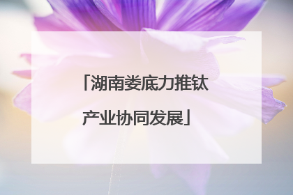 湖南娄底力推钛产业协同发展