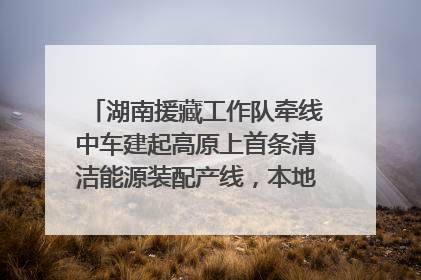 湖南援藏工作队牵线中车建起高原上首条清洁能源装配产线，本地大学生成车间检验员