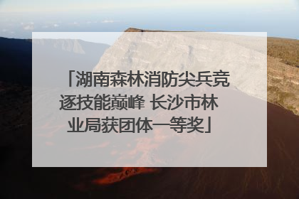 湖南森林消防尖兵竞逐技能巅峰 长沙市林业局获团体一等奖