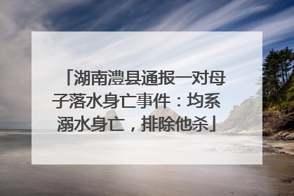 湖南澧县通报一对母子落水身亡事件：均系溺水身亡，排除他杀