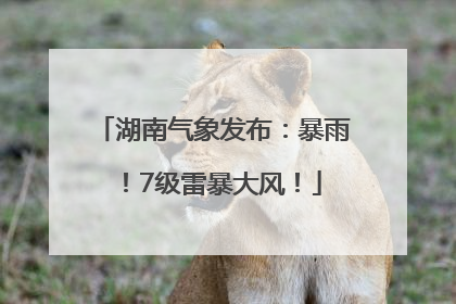 湖南气象发布：暴雨！7级雷暴大风！
