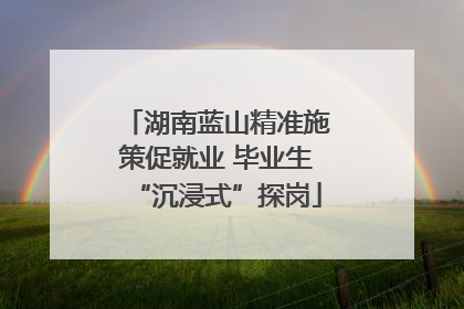 湖南蓝山精准施策促就业 毕业生“沉浸式”探岗