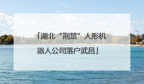 湖北“荆楚”人形机器人公司落户武昌