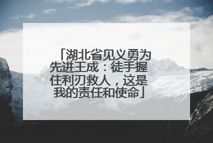 湖北省见义勇为先进王成：徒手握住利刃救人，这是我的责任和使命