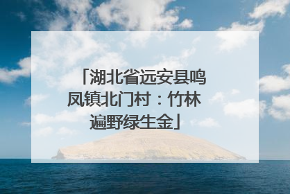 湖北省远安县鸣凤镇北门村：竹林遍野绿生金