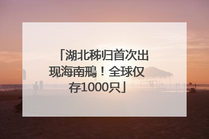 湖北秭归首次出现海南鳽！全球仅存1000只