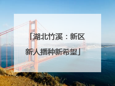 湖北竹溪：新区新人播种新希望