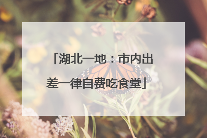 湖北一地：市内出差一律自费吃食堂