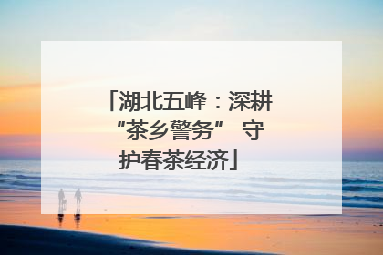 湖北五峰：深耕“茶乡警务” 守护春茶经济