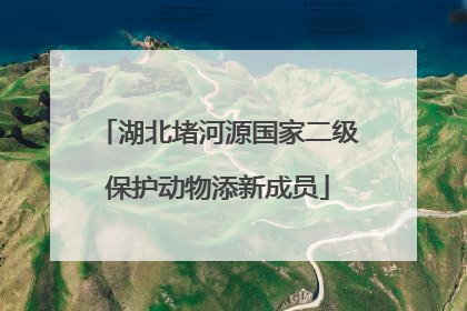 湖北堵河源国家二级保护动物添新成员