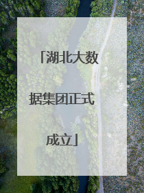 湖北大数据集团正式成立