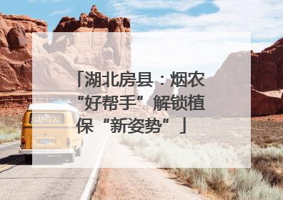 湖北房县：烟农“好帮手”解锁植保“新姿势”