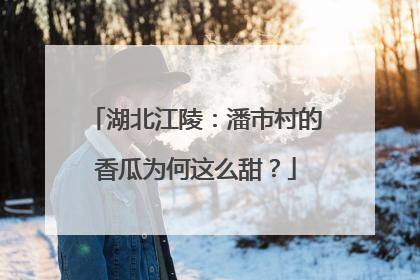 湖北江陵：潘市村的香瓜为何这么甜？
