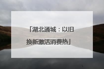 湖北通城：以旧换新激活消费热