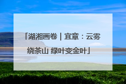 湖湘画卷｜宜章：云雾绕茶山 绿叶变金叶