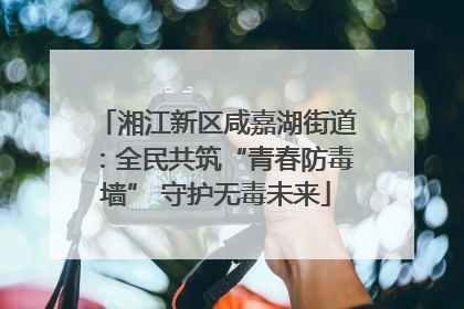 湘江新区咸嘉湖街道：全民共筑“青春防毒墙” 守护无毒未来