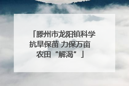 滕州市龙阳镇科学抗旱保苗 力保万亩农田“解渴”