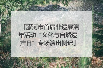 漯河市首届非遗展演年活动“文化与自然遗产日”专场演出侧记