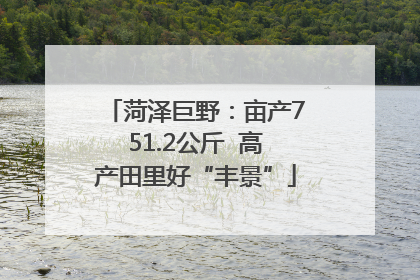 菏泽巨野：亩产751.2公斤  高产田里好“丰景”
