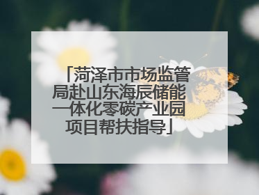 菏泽市市场监管局赴山东海辰储能一体化零碳产业园项目帮扶指导