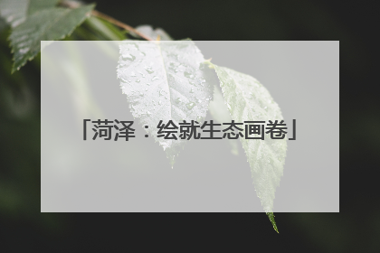 菏泽：绘就生态画卷