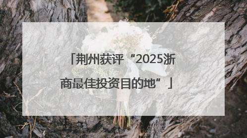 荆州获评“2025浙商最佳投资目的地”