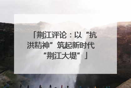 荆江评论：以“抗洪精神”筑起新时代“荆江大堤”