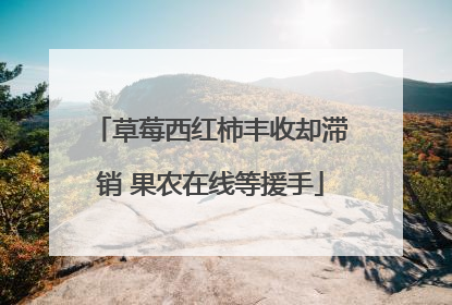 草莓西红柿丰收却滞销 果农在线等援手