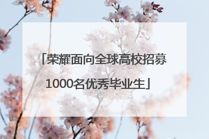 荣耀面向全球高校招募1000名优秀毕业生