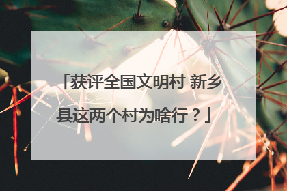 获评全国文明村 新乡县这两个村为啥行？
