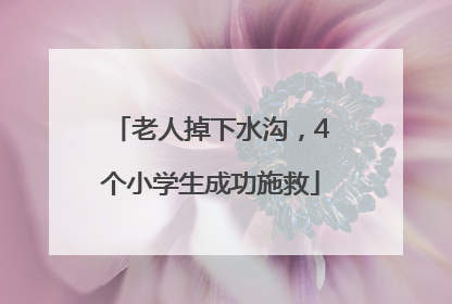 老人掉下水沟，4个小学生成功施救