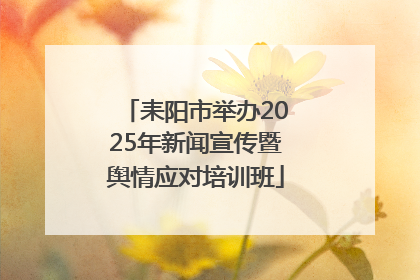 耒阳市举办2025年新闻宣传暨舆情应对培训班