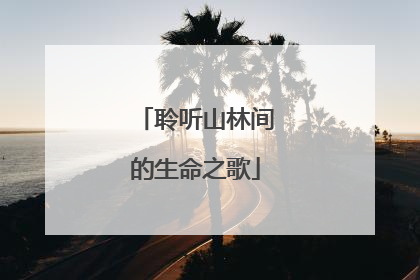聆听山林间的生命之歌