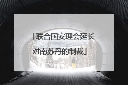 联合国安理会延长对南苏丹的制裁