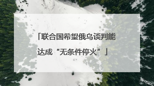 联合国希望俄乌谈判能达成“无条件停火”
