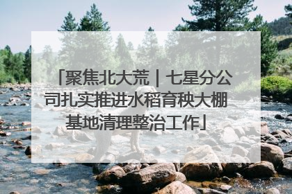 聚焦北大荒｜七星分公司扎实推进水稻育秧大棚基地清理整治工作