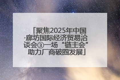 聚焦2025年中国·廊坊国际经济贸易洽谈会③一场“链主会” 助力厂商破圈发展