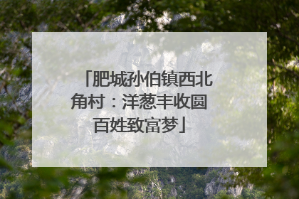 肥城孙伯镇西北角村：洋葱丰收圆百姓致富梦
