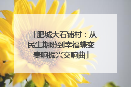 肥城大石铺村：从民生期盼到幸福蝶变奏响振兴交响曲