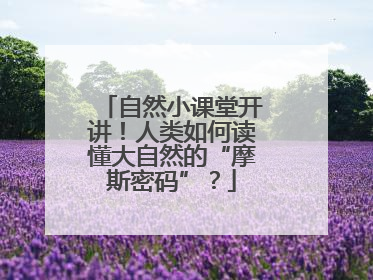 自然小课堂开讲！人类如何读懂大自然的“摩斯密码”？