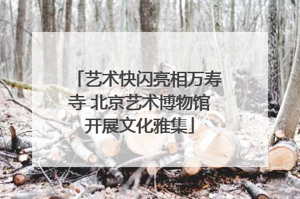 艺术快闪亮相万寿寺 北京艺术博物馆开展文化雅集