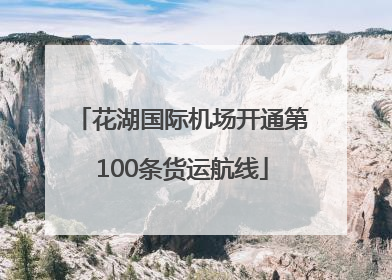 花湖国际机场开通第100条货运航线
