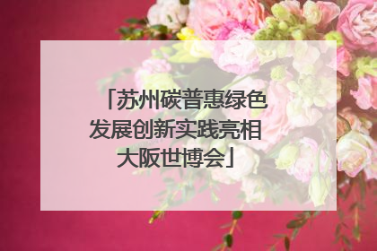 苏州碳普惠绿色发展创新实践亮相大阪世博会