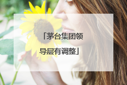 茅台集团领导层有调整