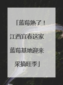 蓝莓熟了！江西宜春这家蓝莓基地迎来采摘旺季