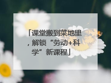 课堂搬到菜地里，解锁“劳动+科学”新课程
